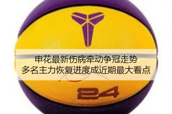 申花最新伤病牵动争冠走势 多名主力恢复进度成近期最大看点